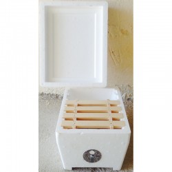 Κυψελίδιο Σύζευξης Βασιλισσών